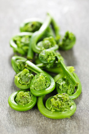 Oven Roasted Fiddlehead Ferns Maria Rickert Hong